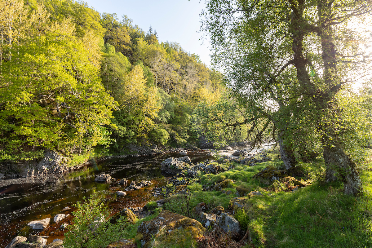River Lossie Findhorn, Nairn and Lossie Rivers Trust